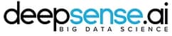 DeepSense.ai Logo